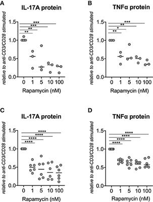 mTOR Blockade by Rapamycin in Spondyloarthritis: Impact on Inflammation and New Bone Formation in vitro and in vivo